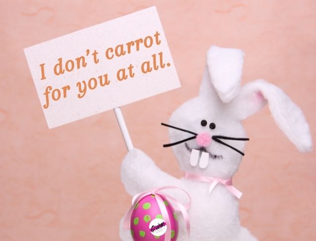 Easter Bunny Captions