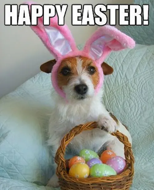 happy easter funny memes 2024