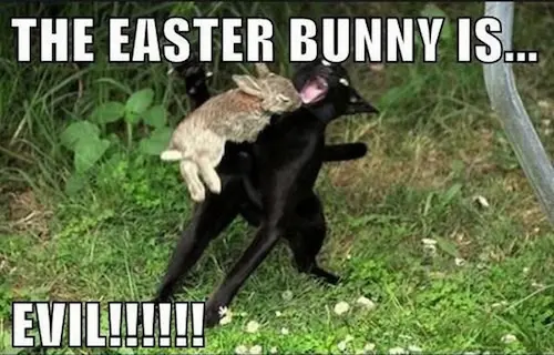 the easter bunny is evill!!! best funny easter memes 2024