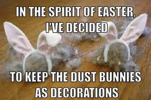 dust-bunnies-easter-meme