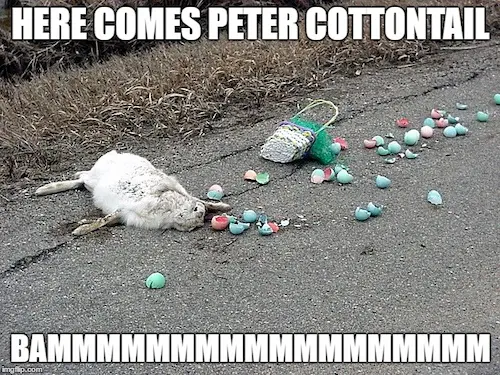 here comes peter cottontall - easter memes